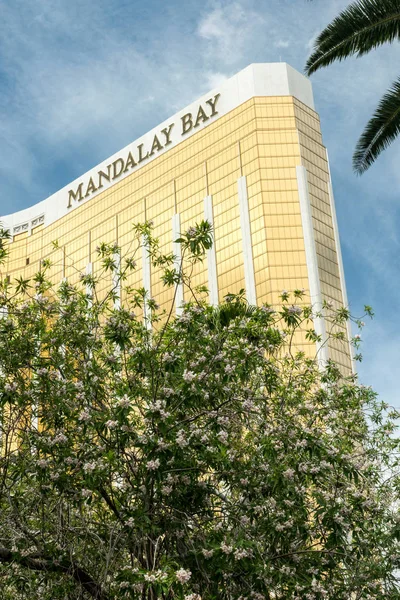 Mandalay Bay Resort — Stock Fotó