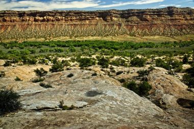 Doğal sedir Mesa Kanyon ülke Bears kulakları Ulusal Anıtı yakınındaki