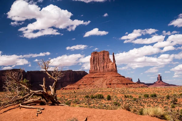 Nature's Artistry at Monument Valley — Stock Photo, Image