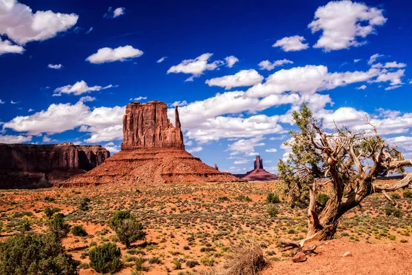 Nature 's Artistry at Monument Valley — стоковое фото