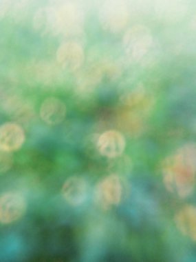 Yeşil bahar Bokeh arka plan