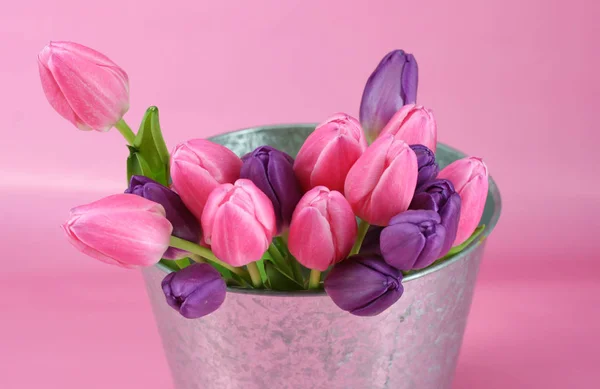 Tulips — Stock Photo, Image