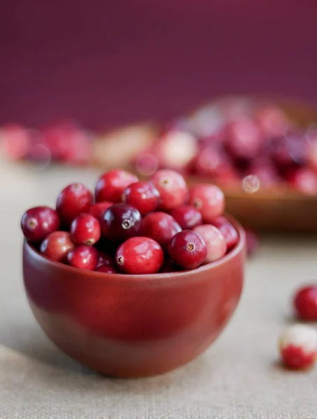 Bunch Fresh Cranberries Thanksgiving Cranberry Sauce — Stock Photo, Image