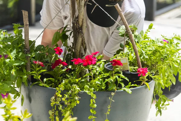 Çiçek bahçesi Pot hazırlık