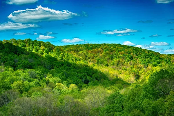 Горное зеленое голубое небо — стоковое фото