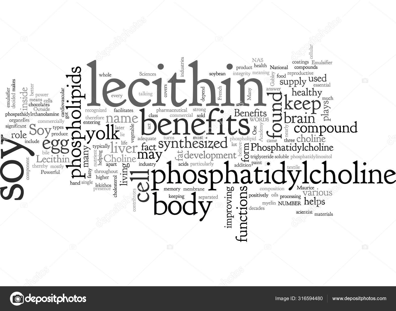 soy lecithin svenska soy lecithin svenska