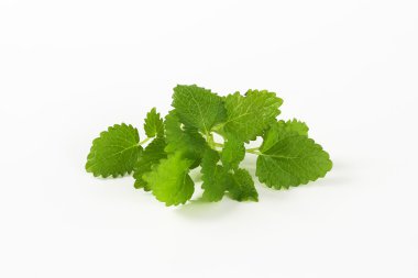 oğul otu yaprakları