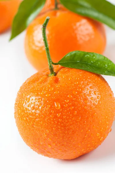 Mandarinas lavadas con hojas —  Fotos de Stock