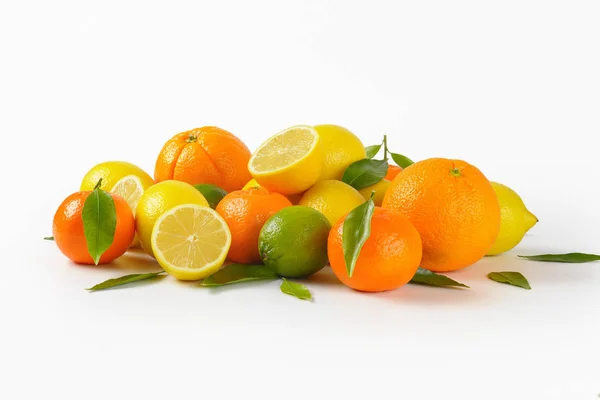 Fresh citrus fruit — Stock Photo, Image