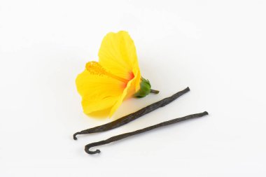 Hibiscus çiçek ve vanilya pods