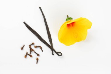 Hibiscus çiçek ve baharat