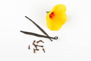 Hibiscus çiçek ve baharat