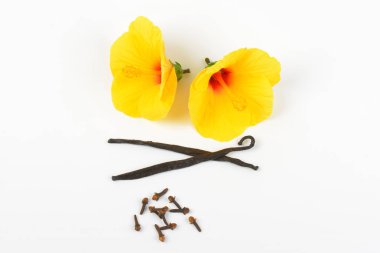 Hibiscus çiçek ve baharat