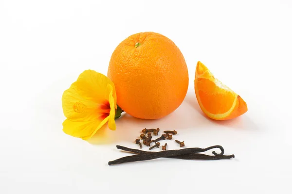 Hibiscus, orange and spices — Stock Photo, Image