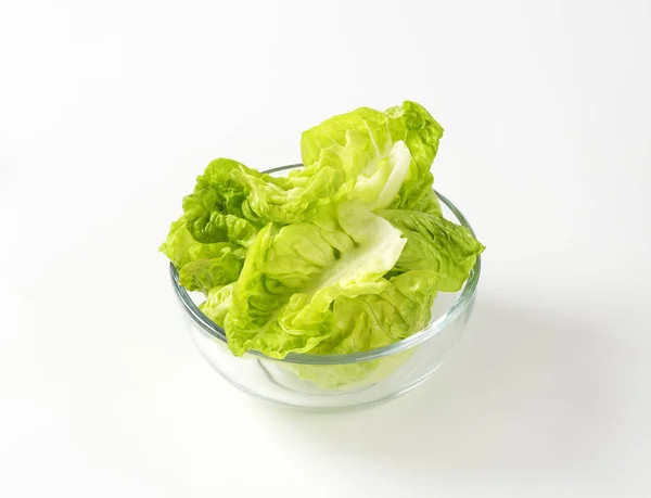 Kleiner Edelsteinsalat — Stockfoto