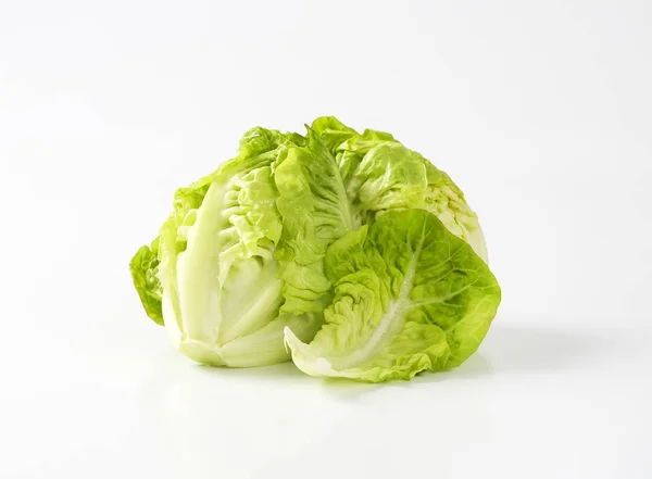 Pequeña lechuga de gema — Foto de Stock