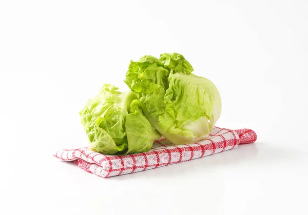 Little gem lettuce — Stock Photo, Image