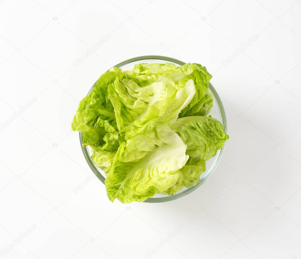 Little gem lettuce