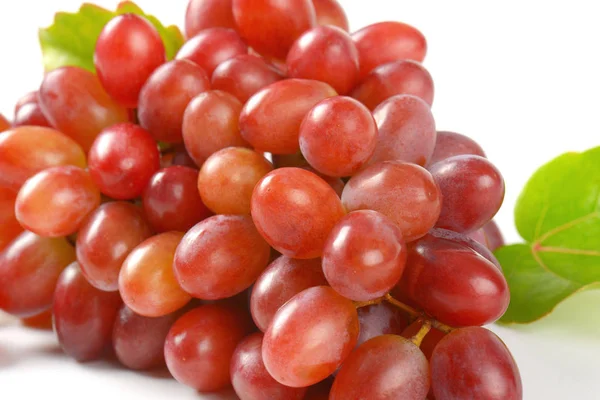 Dojrzałe czerwone winogrona — Zdjęcie stockowe