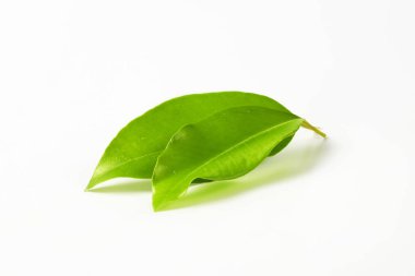 İki portakal yaprağı