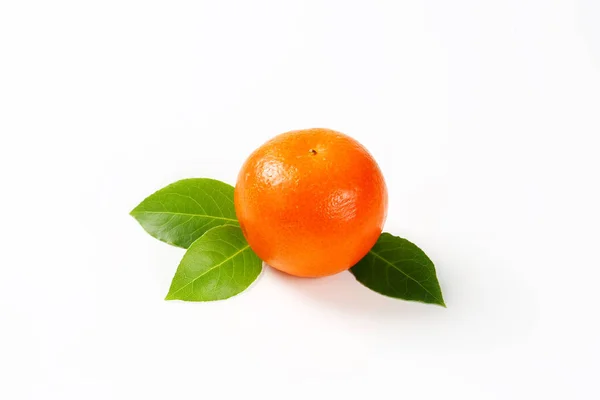 Ο Clementine φρούτων με φύλλα — Φωτογραφία Αρχείου