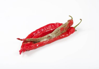 küçülen ve küflü biber