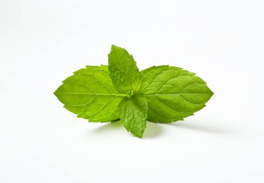 Taze nane yaprakları