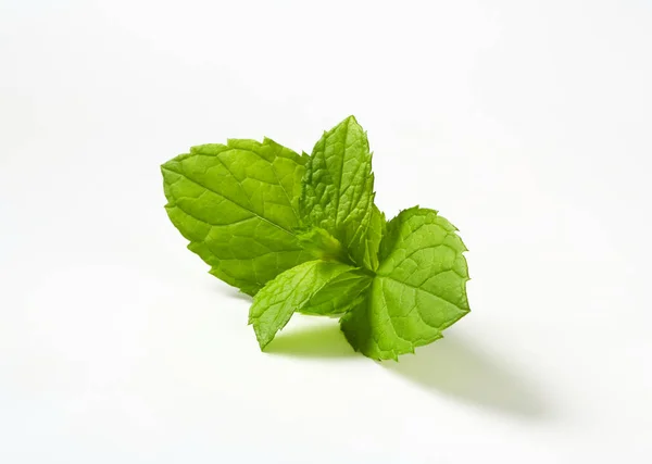 Foglie di menta fresca — Foto Stock