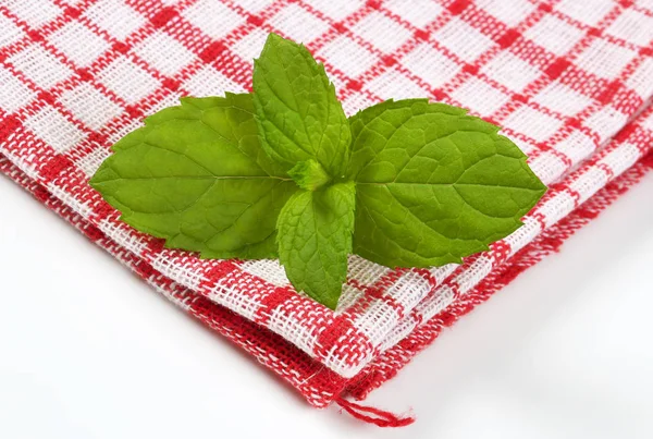 Foglie di menta fresca — Foto Stock