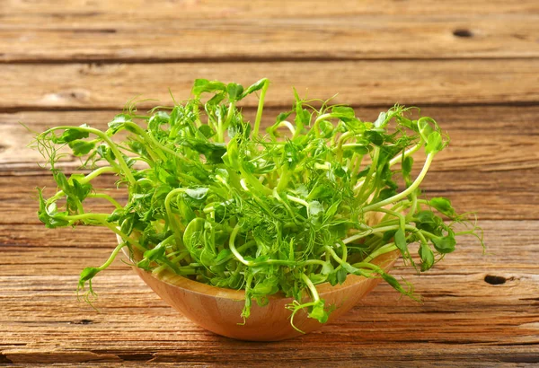 Green pea sprouts — Stock Photo, Image