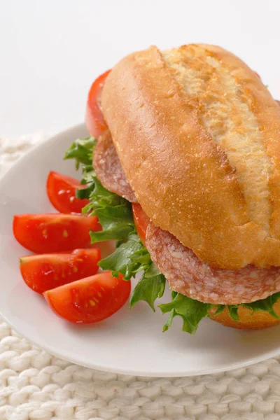 Sándwich fresco con salami — Foto de Stock