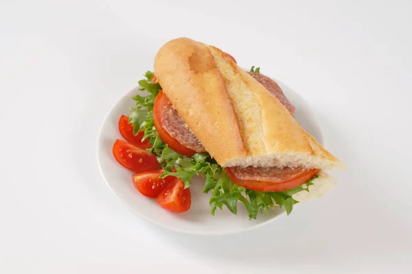 Fresh sandwich with salami — Stock Photo, Image