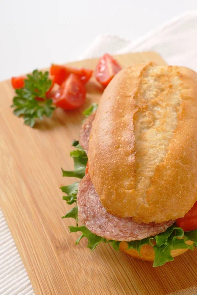 Sandwich frais au salami — Photo