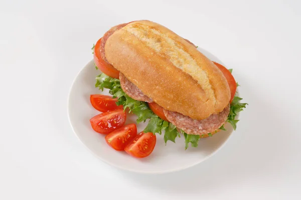 Sandwich frais au salami — Photo