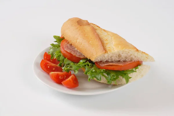 Taze sandviç salam ile — Stok fotoğraf