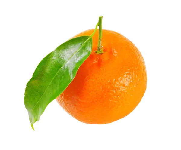 Mandarine avec feuille — Photo