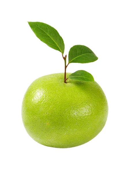 Rijpe groene grapefruit — Stockfoto