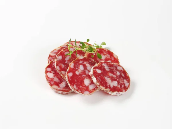 French dry cured sausage slices — Stock Photo, Image