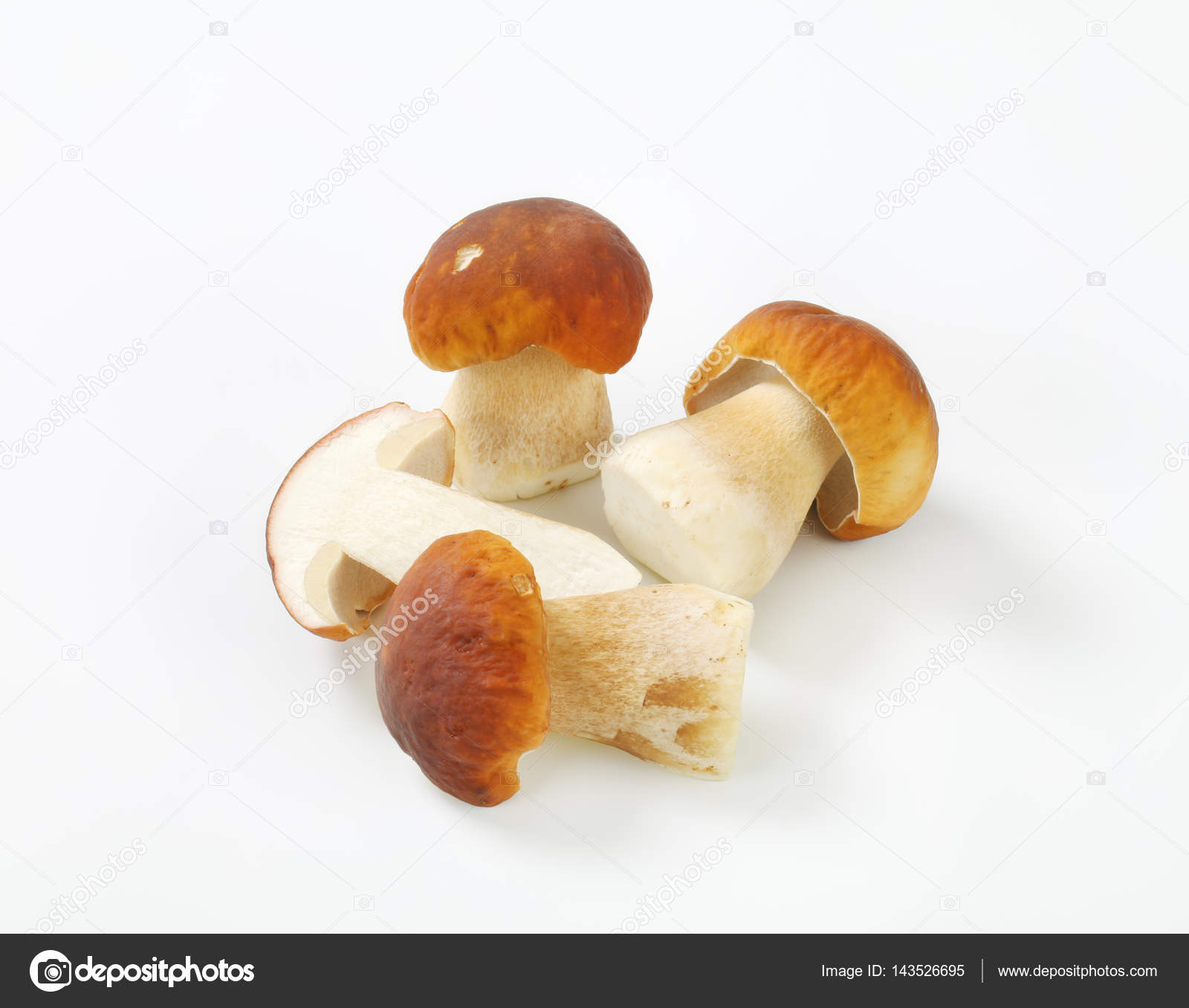 Fresh Porcini Mushrooms Stock Photo C Ajafoto 143526695,Carnival Glass Bowl Patterns