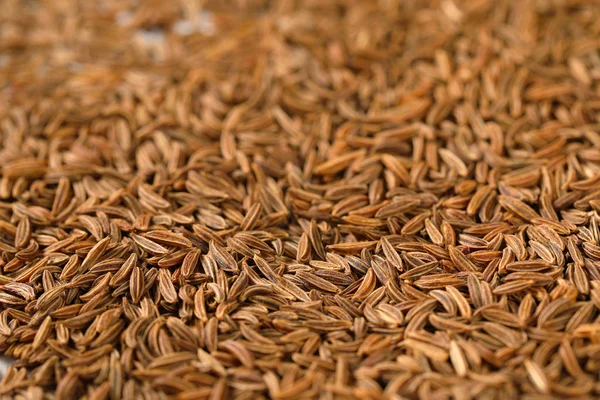 Detail of caraway seeds — Stock Photo, Image