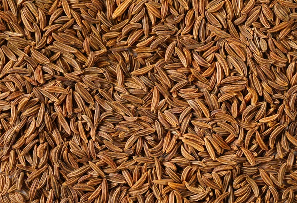Подробности о семенах тмина — стоковое фото