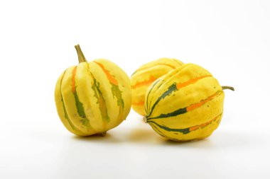 küçük şeritli kabaklar