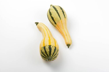 küçük şeritli kabaklar