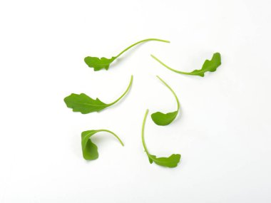 taze roka yaprakları