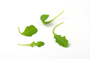 taze roka yaprakları