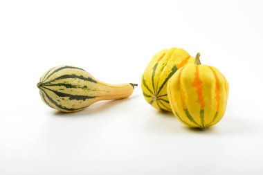 küçük şeritli kabaklar