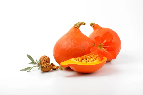 Abóboras de laranja nozes wtih, sálvia e hibisco — Fotografia de Stock