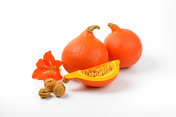与核桃和芙蓉花的橙色南瓜 — 图库照片