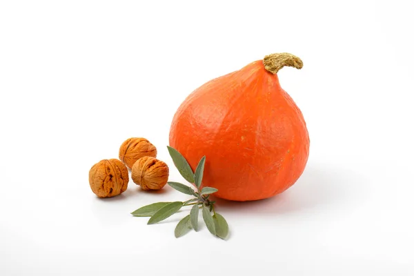 Orange pumpa med valnötter och salvia — Stockfoto