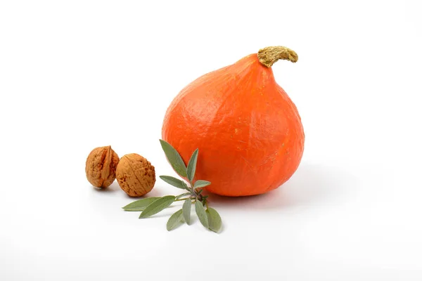 Orange pumpa med valnötter och salvia — Stockfoto